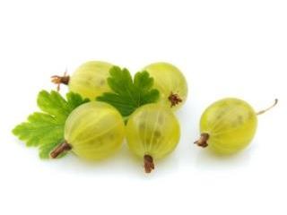 Uva Spina (Ribes Uva-Crispa)